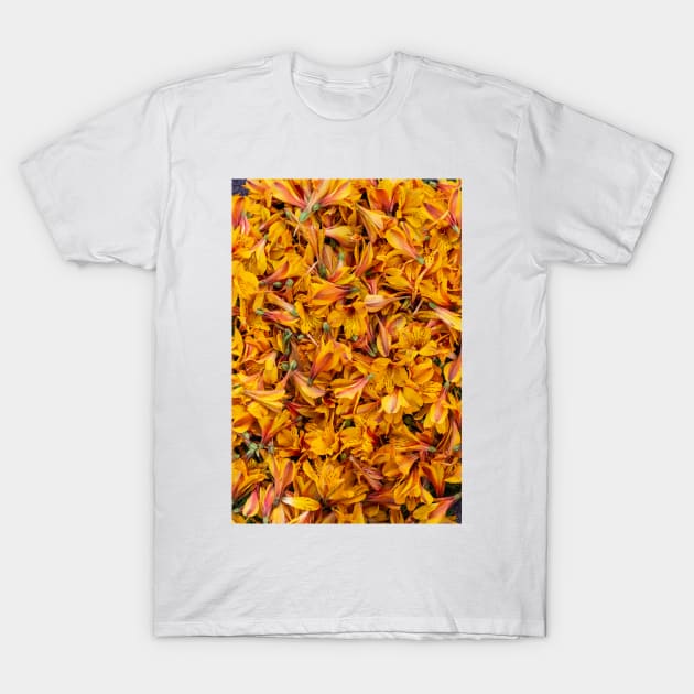 Yellow Flowers T-Shirt by RenataCacaoPhotography